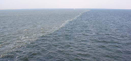 Arus laut yang mengalir di perairan jepang adalah
