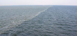 Arus laut merupakan aliran air laut dengan arah pergerakan tetap dan teratur yang disertai Pergerakan Arus Laut di Bumi