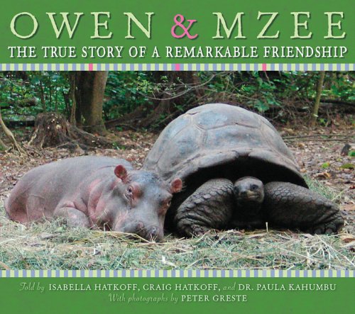 List 102+ Images owen the hippo and mzee the giant tortoise Latest
