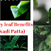Kadi Patta (Curry Leaves) Benefits For Type-2 Diabetes