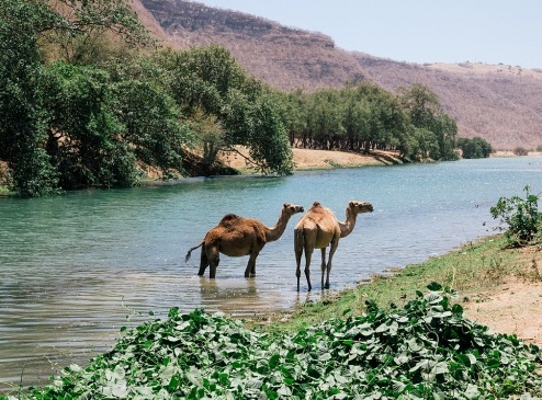 dhofar oman