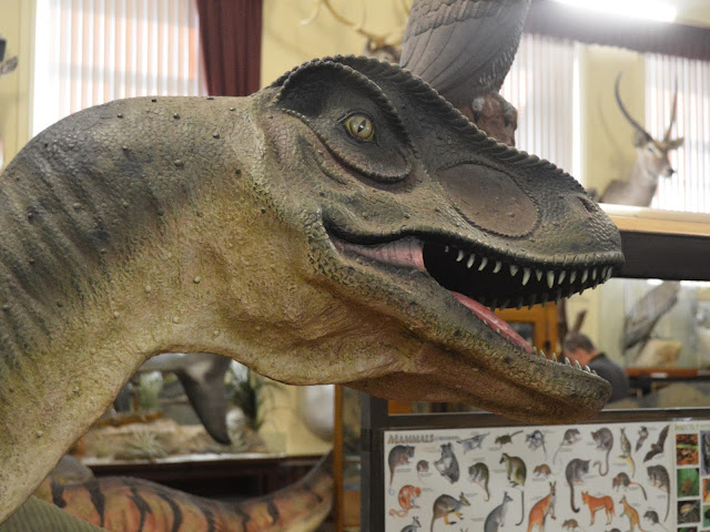 dinosaur model dinosaur model