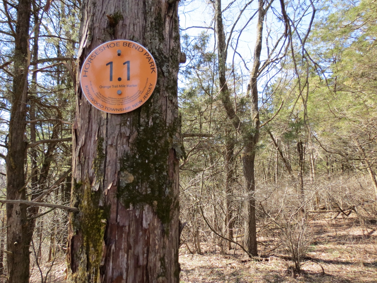 Gone Hikin' Horseshoe Bend Park, NJ North