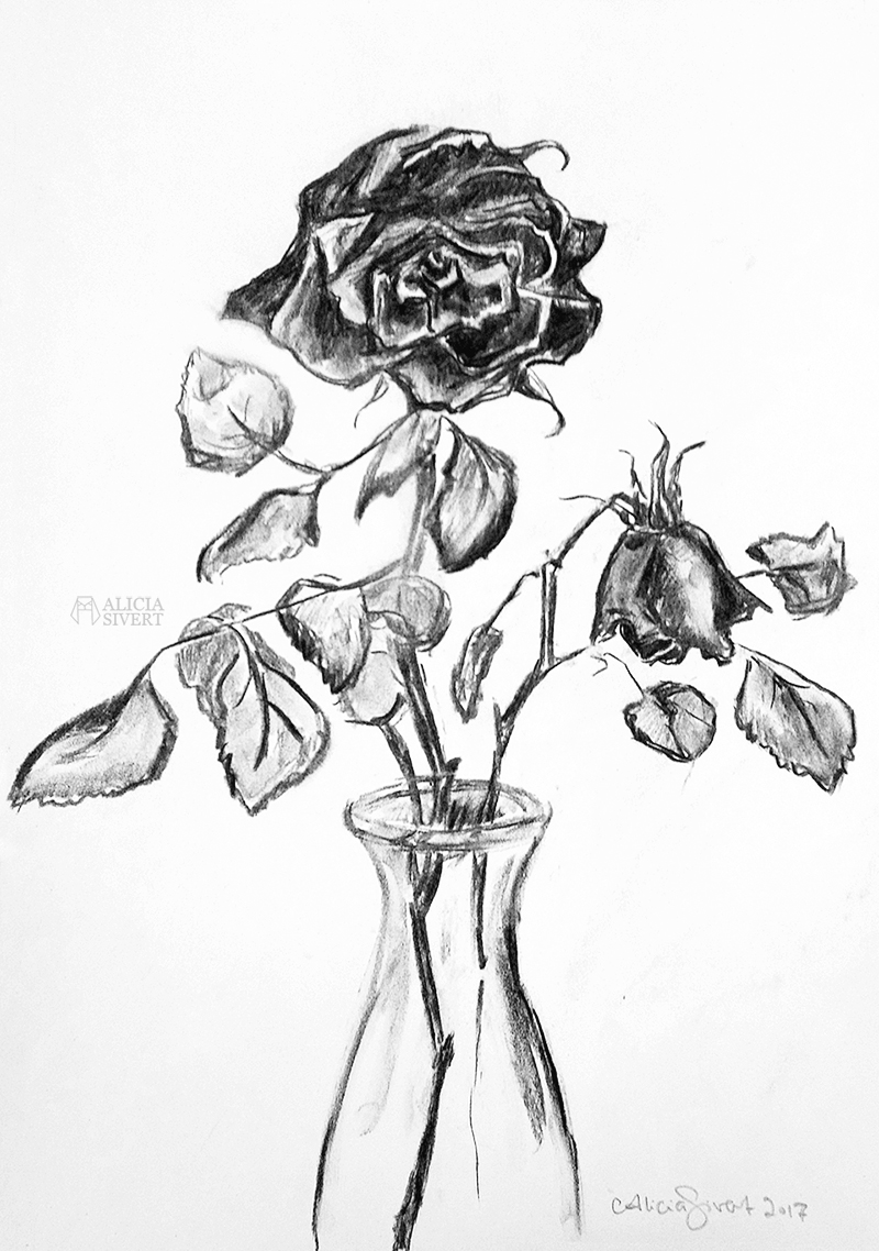 Rose, charcoal drawing by Alicia Sivertsson.