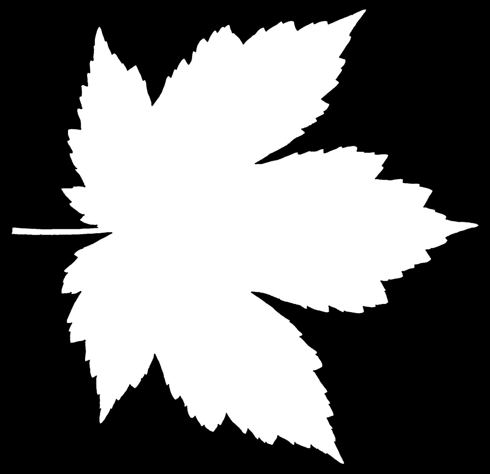 HIGH RESOLUTION TEXTURES Leaf Textures