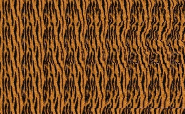 Stereogram Picture of bear which will twist your mind