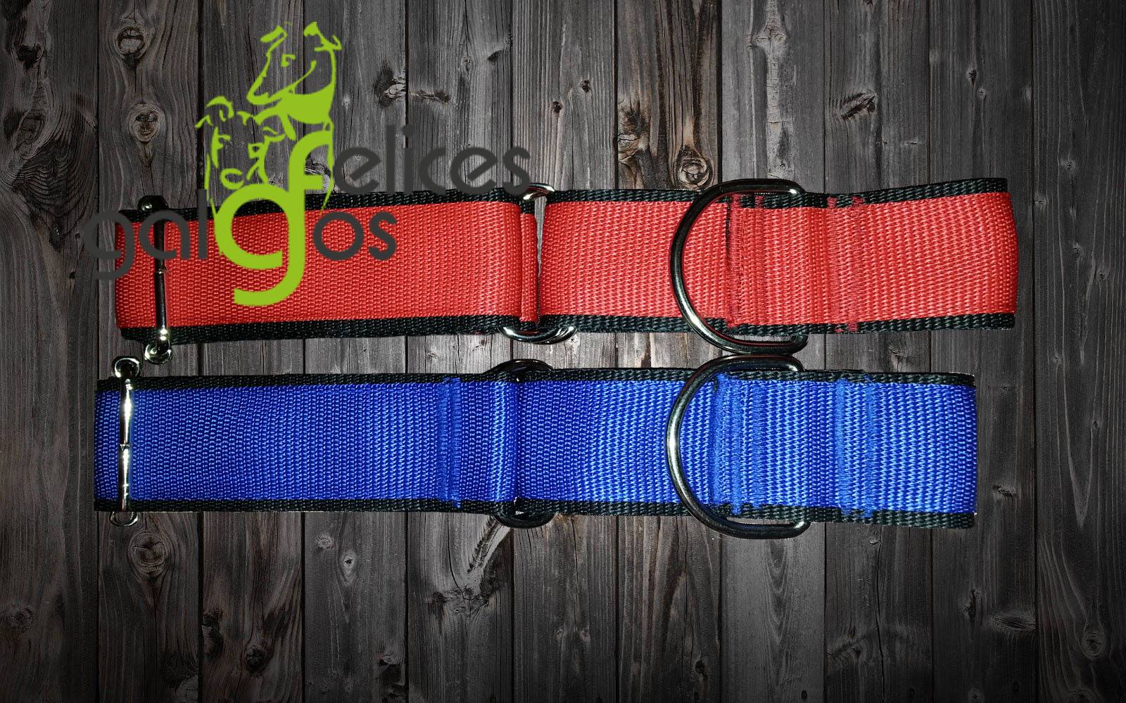 Collana Martingale Nuda Giallo Fluor Taglia XL - Per Cani - Foto 9