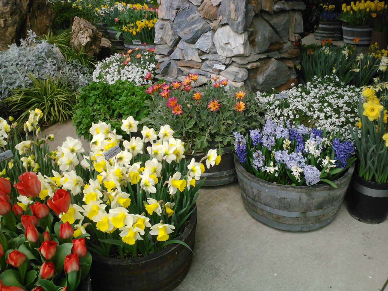 David N. Alderman My California Adventure Ironstone Vineyards