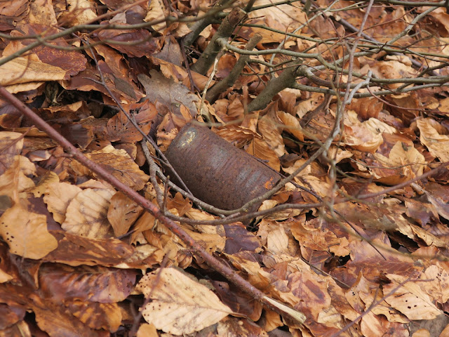 Rusty tin can on dead leaves in February woods. 