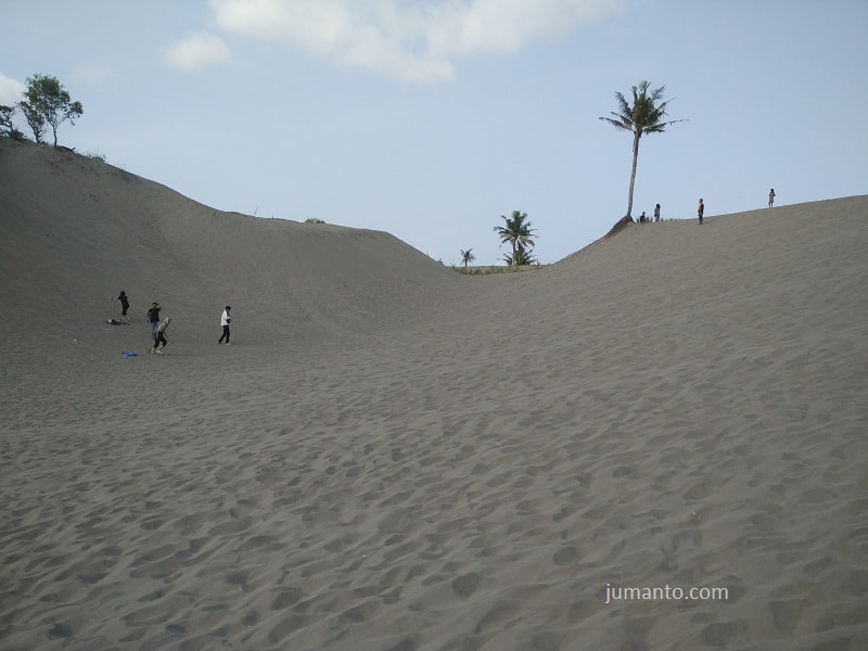 gambar gumuk pasir parangtritis jogja gambar gumuk pasir parangtritis jogja