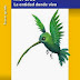 Morelos La Entidad Donde Vivo Tercer Grado (2014-2015) Libro de TextoPDF