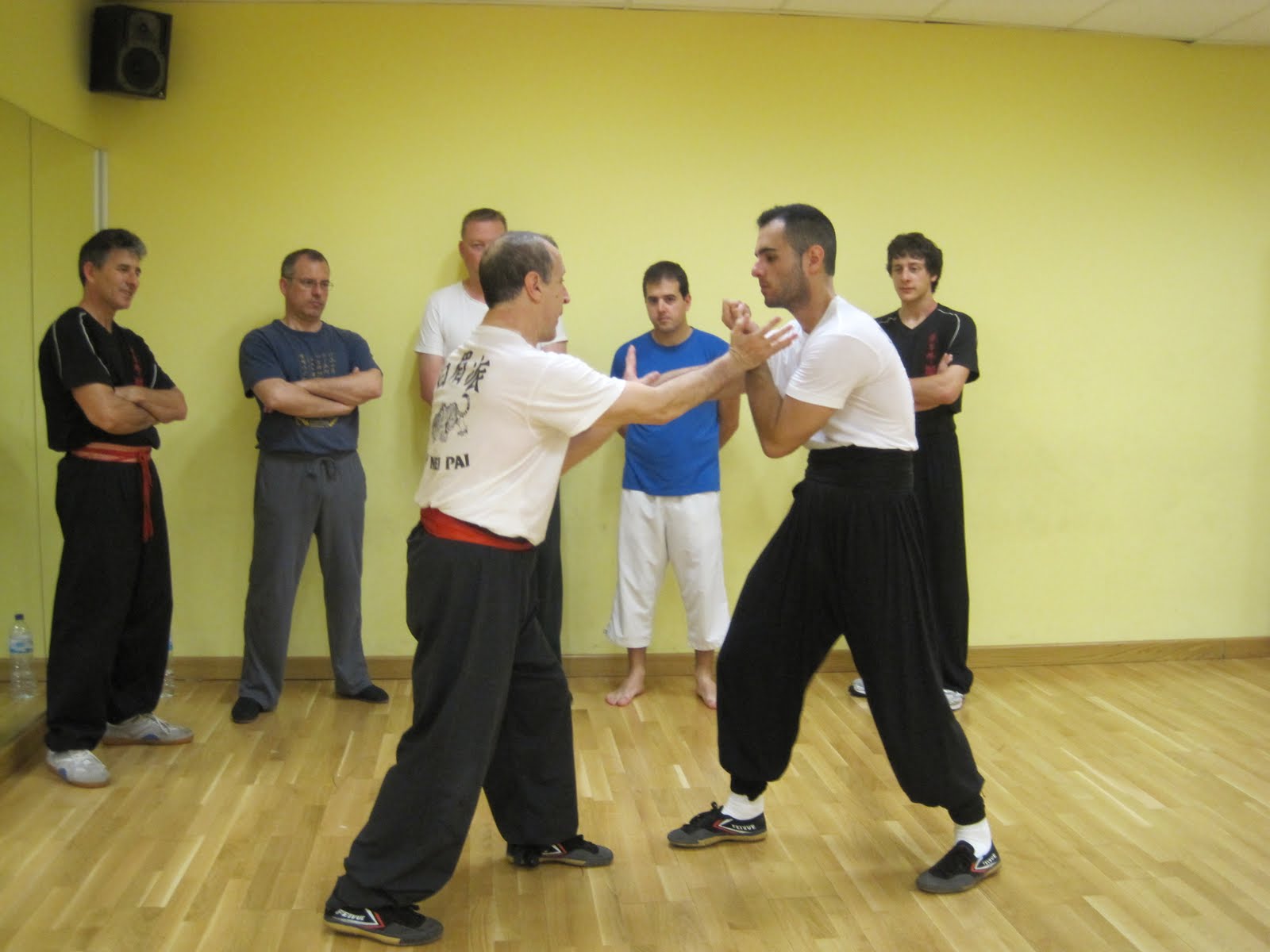 PAK MEI,Ceja Blanca,White Eyebrow, Asociacion Cheung´s Pak mei Kung Fu España