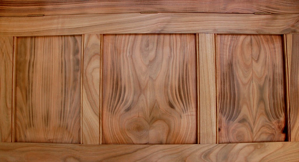 Species of UK Week 58 Wild Cherry ('Prunus avium')