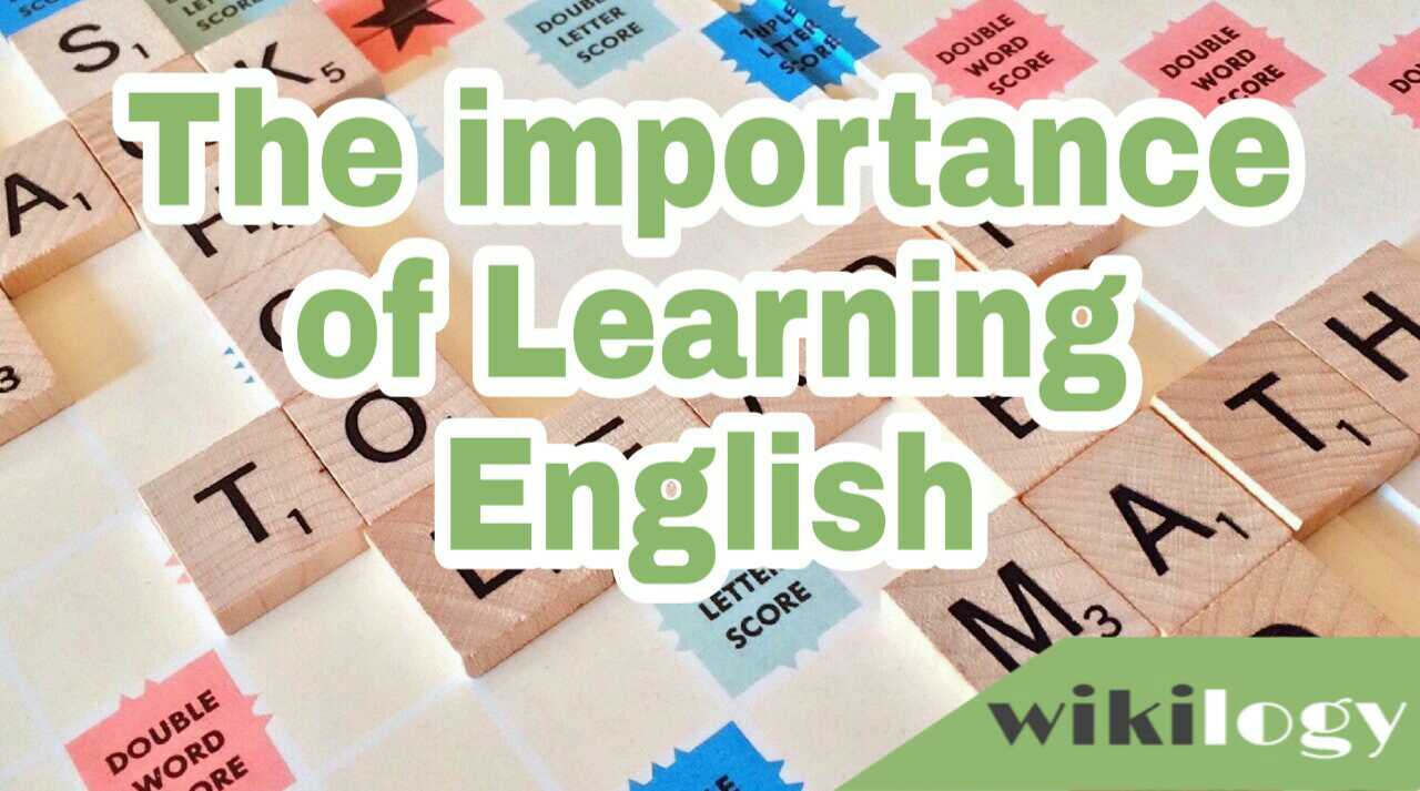 write an essay about the importance of learning english