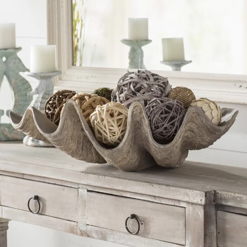 Giant Clam Shell Bowls