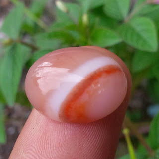 Mustika Pemikat Asmara Mustika Pemikat Asmara