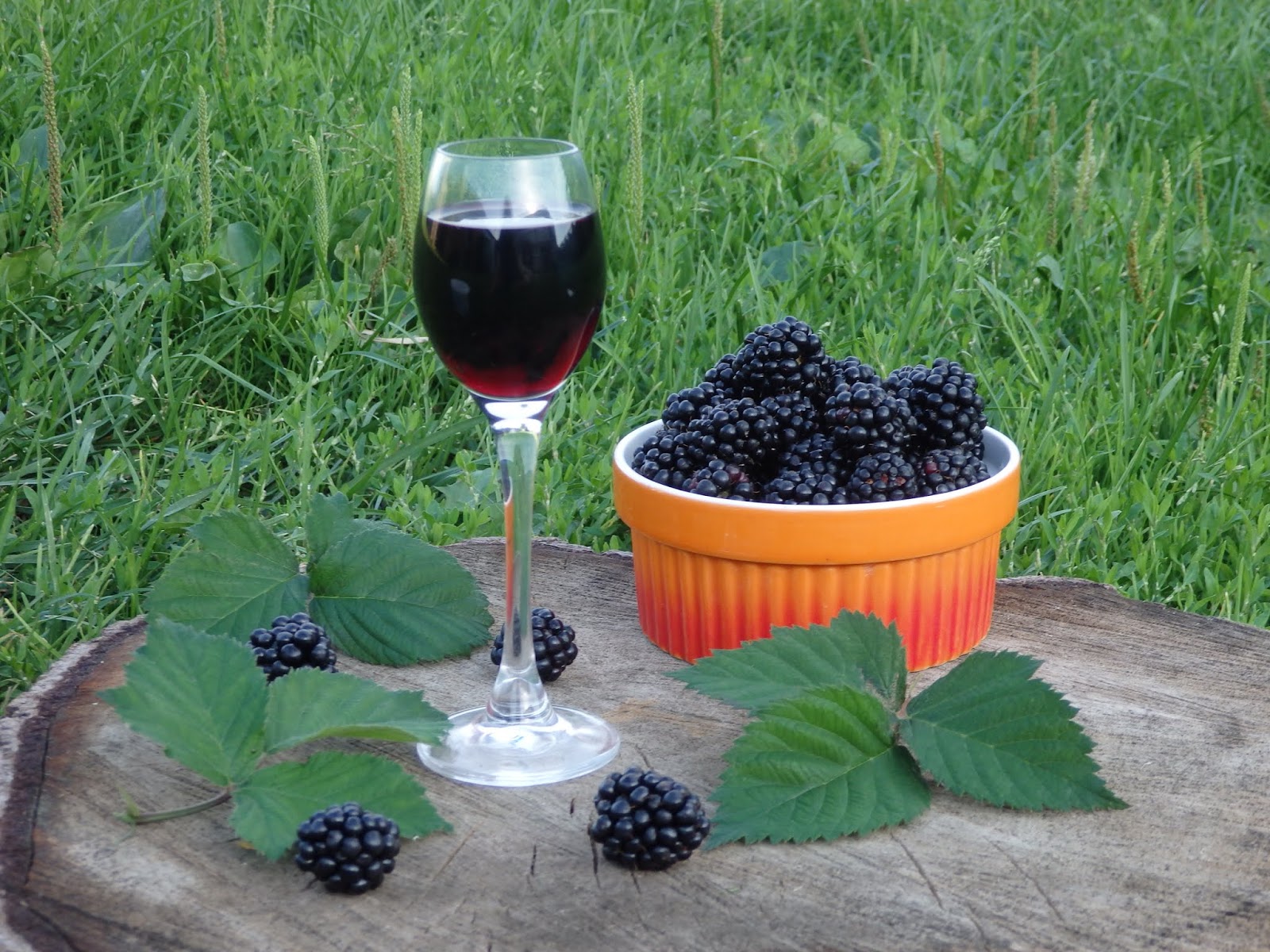 Monia Miesza I Gotuje Nalewka Jezynowa Napoje Alkoholowe Jezyna Przepisy