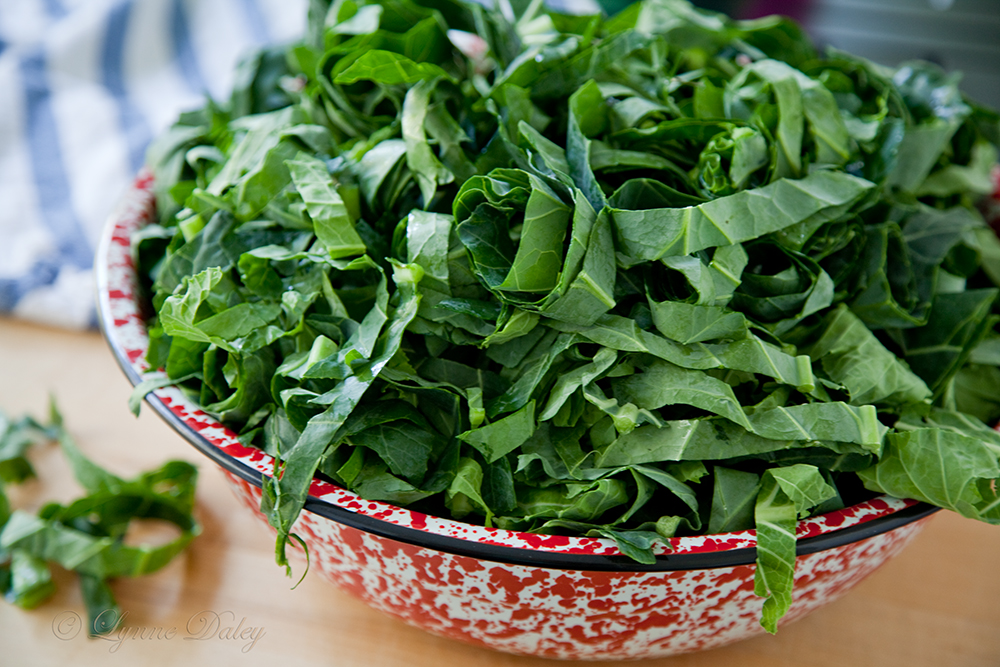 PhotoperDiemA Photography Blog Lunch on New Year's DayBlackEyed