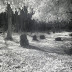 El cementerio menos frecuentado del mundo