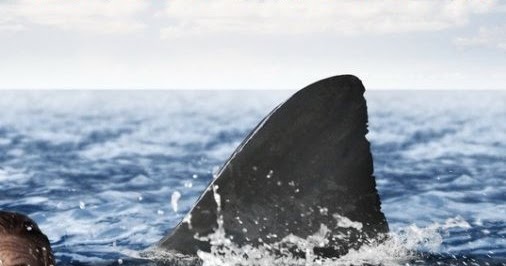 Bande Annonce The Reef 2012 SORTIE DVD / Bande Annonce: The Reef ( LE Récif )