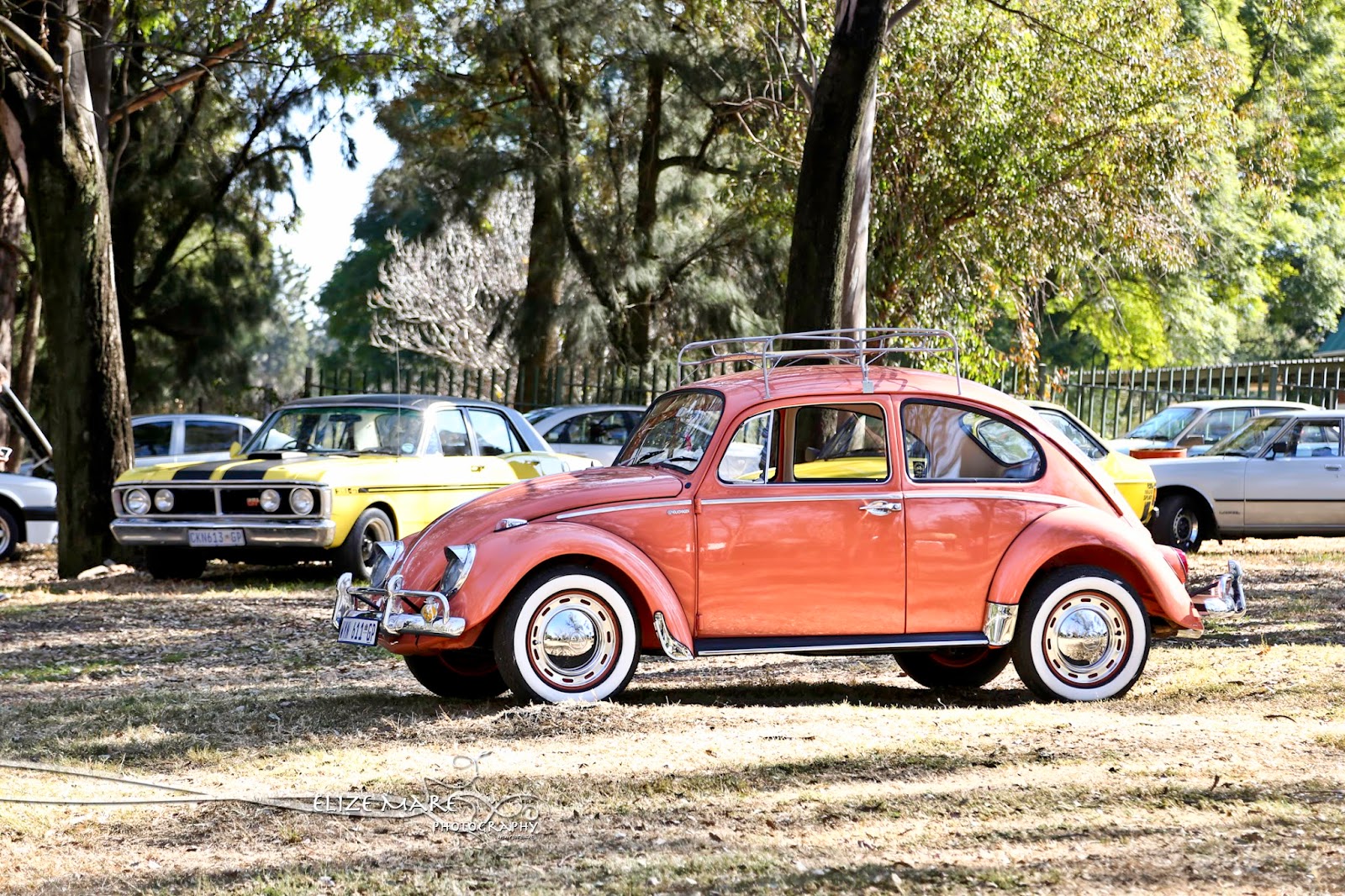 Elize Mare Photography Piston Ring Club meet