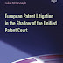 Book Review: European Patent Litigation in the Shadow of the Unified Patent Court