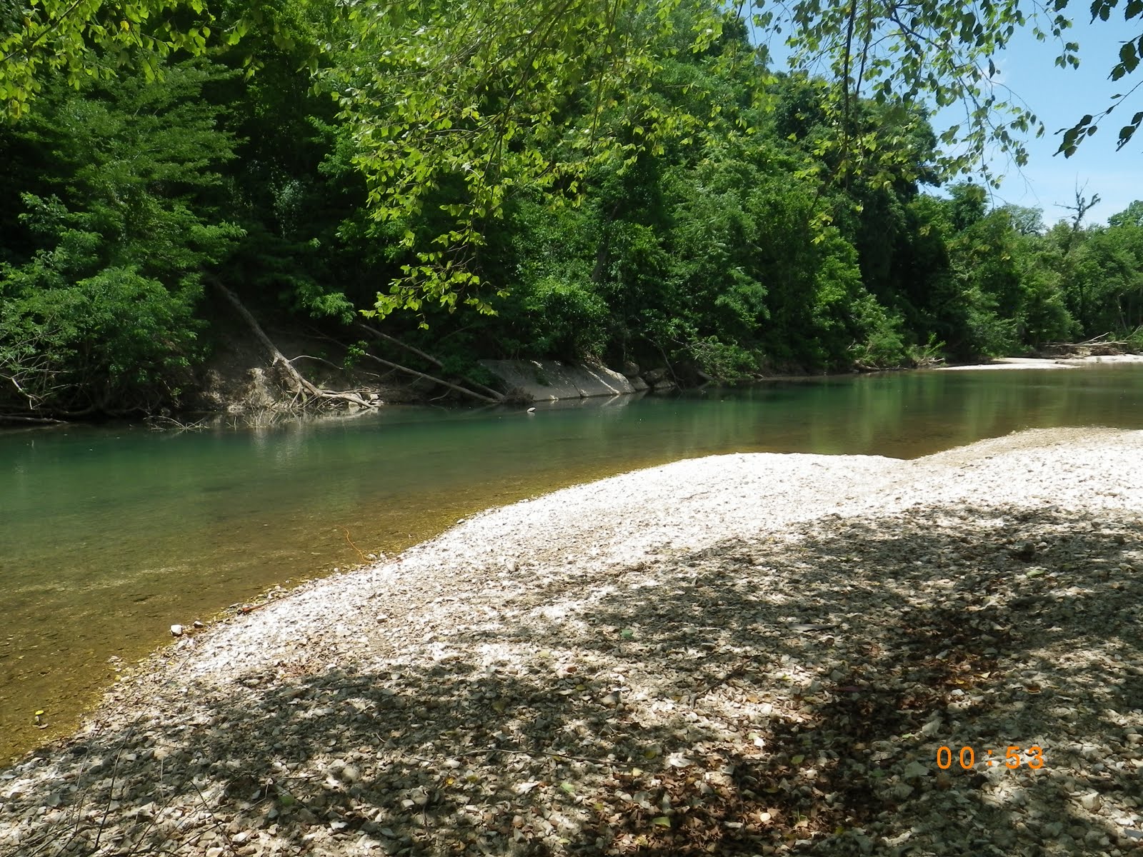 52 Trout You CAN go home again...