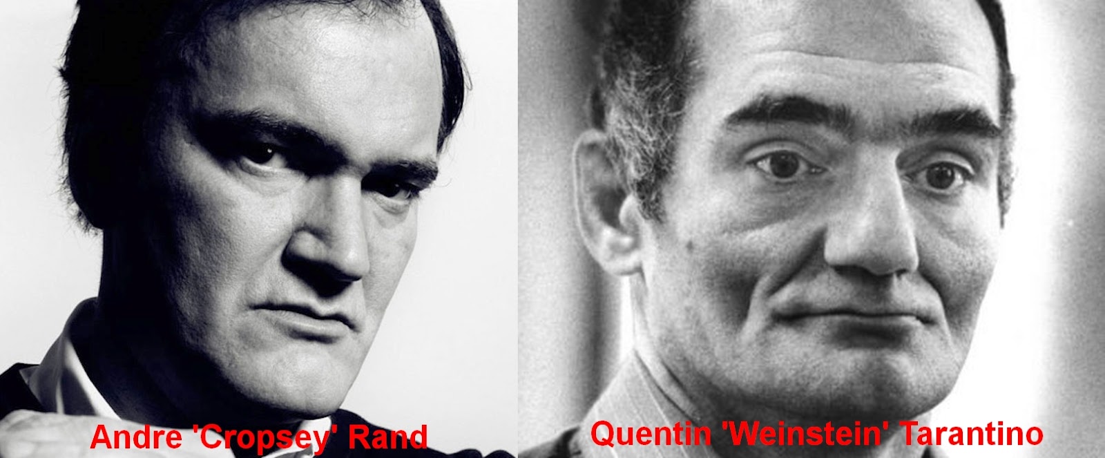 .: Q-Anon, Monarch, MK-Ultra, Plum Island, Butterfly Hollywood, Celebrity Mind Control, Pizza