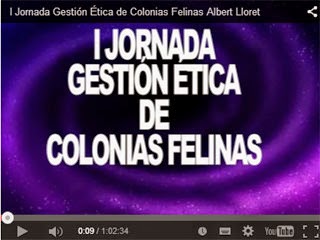 I Jornada Gestión Ética de Colonias Felinas (Madrid)