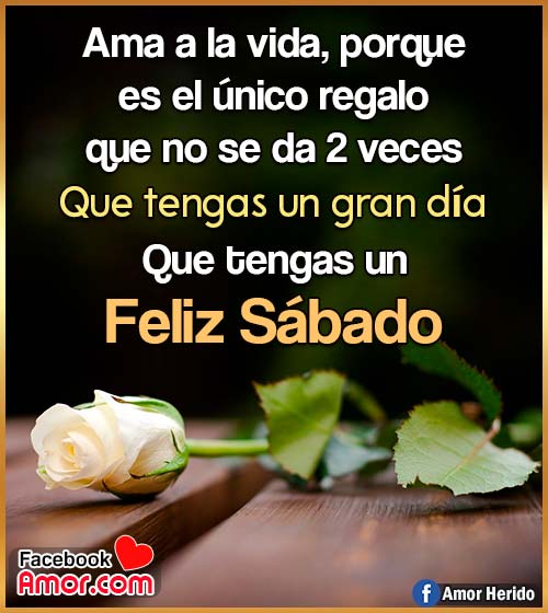 imágenes rosas feliz sábado imágenes rosas feliz sábado