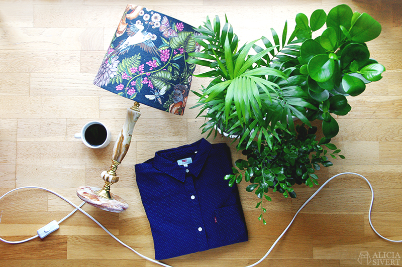 August treasures, photo by Alicia Sivertsson.