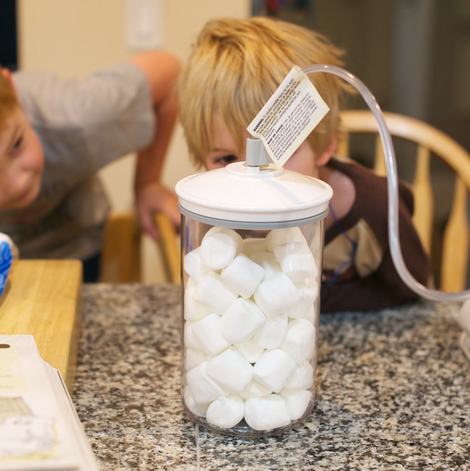 Life at the condo Totally Irresponsible Science Marshmallows on Steroids