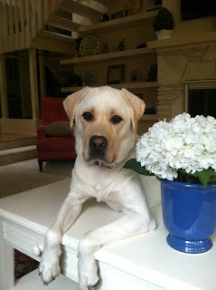 What to do with Unsolicited Advice!