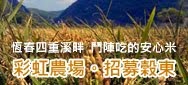 彩虹農場。招募榖東