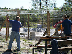 chicken run coop wire compound around predators bottom