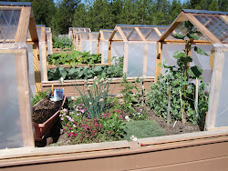 mini raised beds greenhouses greenhouse garden covers nursery both houses oregon bed central gardens outdoor open plans backyard pine slide