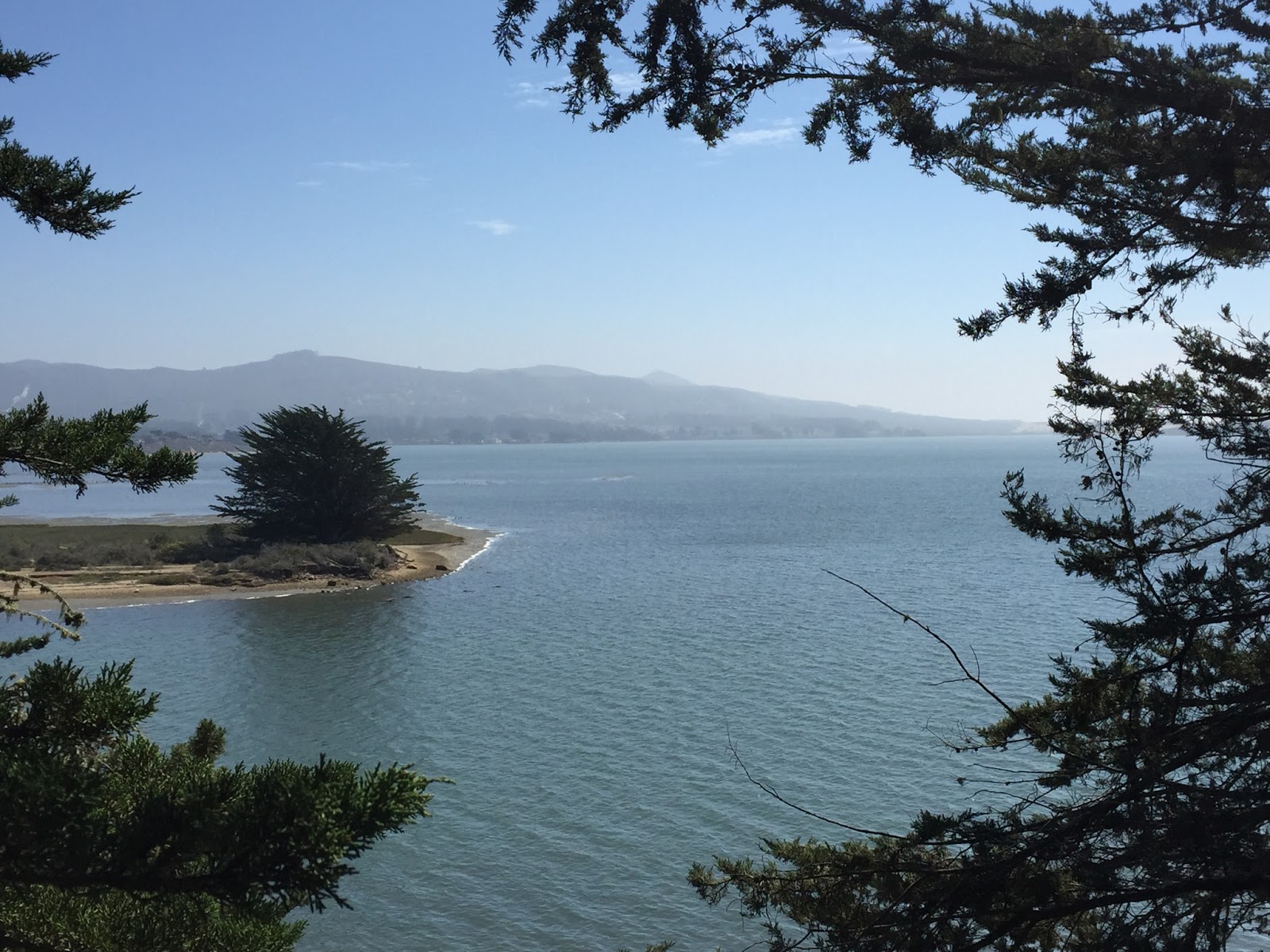 Little Bits & Pieces Camping at Morro Bay State Park