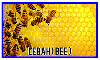 http://sabripestcontrol.blogspot.my/2016/09/lebah-bee.html