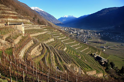 vigneti eroici valtellina vigneti eroici valtellina
