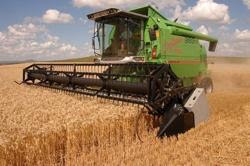 COSECHADORA OPTIMA 440 - AGCO ALLIS