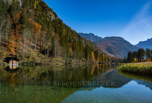 Robert SKREINER - Blog