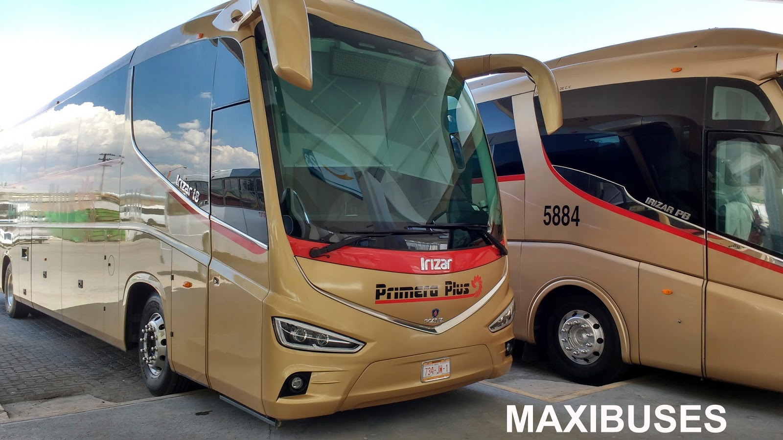 MAXIBUSES PRIMERA PLUS