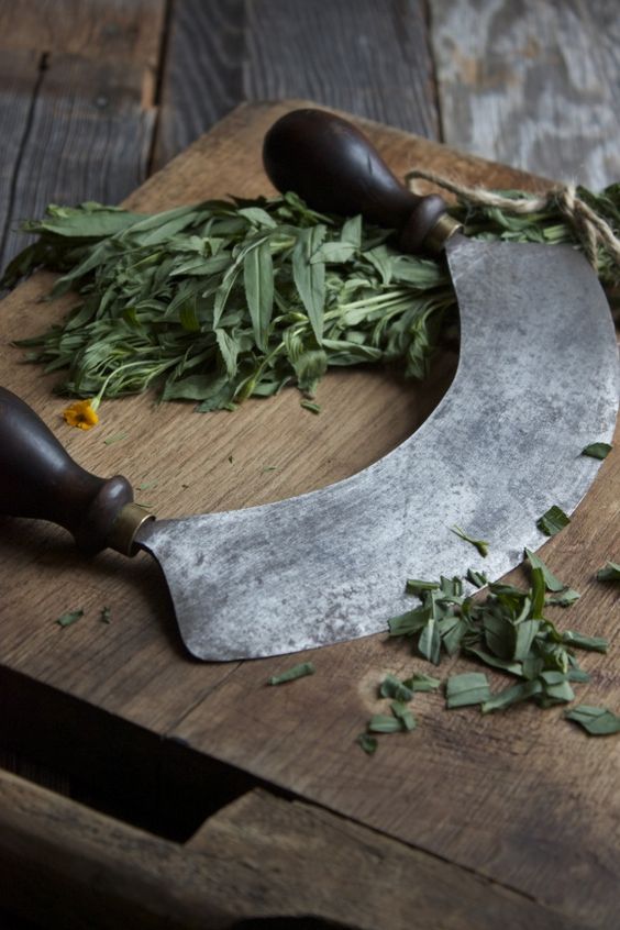 Greeker Than The Greeks 12 Important Aromatic Herbs of Ancient Greece