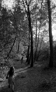 Des enfants courent dans la forêt, ils ont fini la journée de tournage et rejoignent leurs parents.
