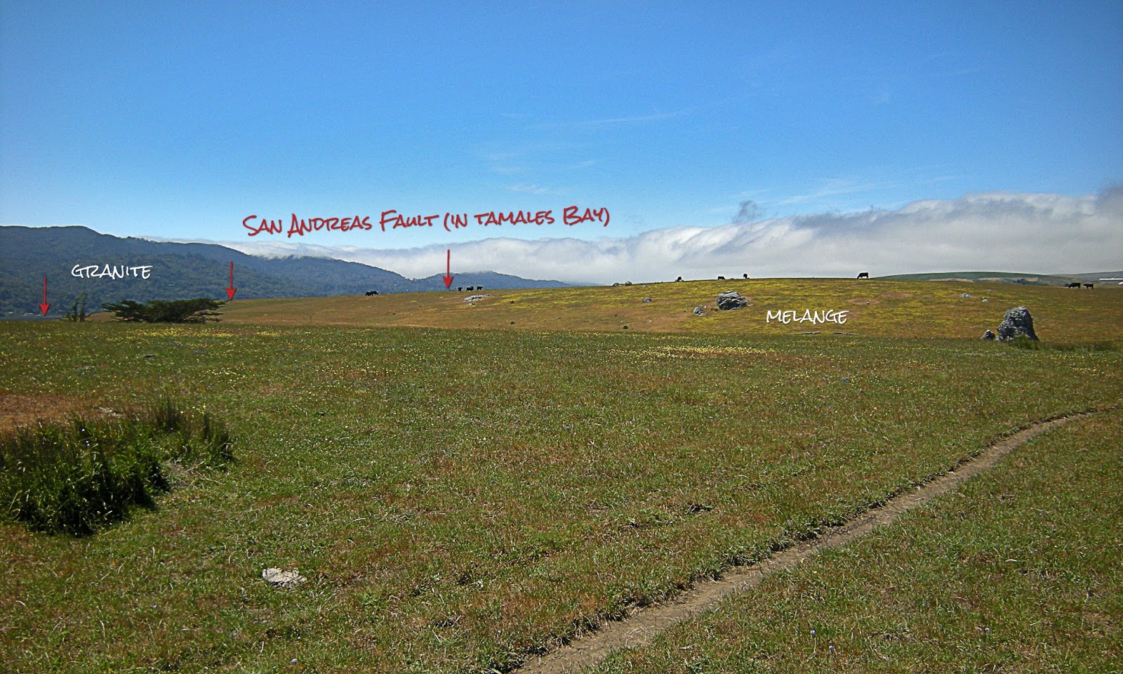 San Andreas fault at Tomales Bay, California, showing melange terrain