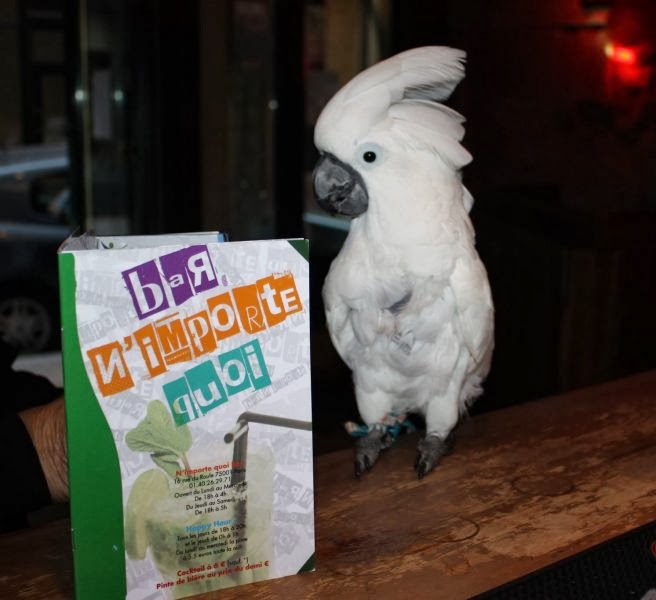 Parisian Walkways Allez y faire n’importe quoi, ils sont là pour ça