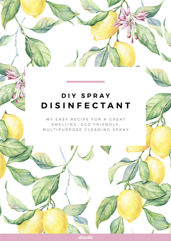 DIY Disinfectant Spray by Eliza Ellis