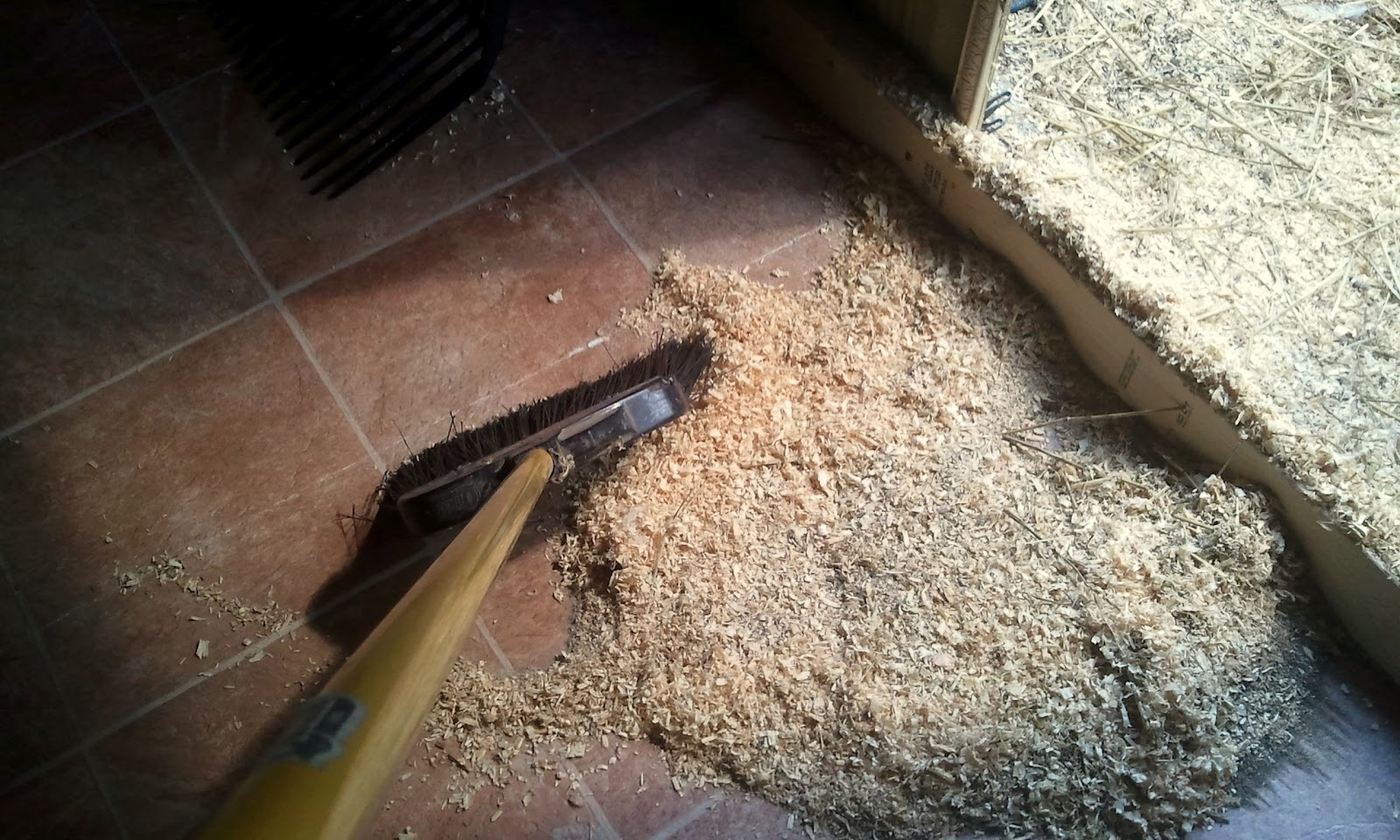 Straw Vs Shavings My Choice For Coop Litter Fresh Eggs Daily While I Was Removing The Shavings My Eyes Started To Water And Throat Tickle So They Certainly Do Create A Fair Amount Of Irritating Dust