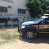 Ibotirama-BA: PRF recolhe animais soltos nas rodovias para evitar acidentes