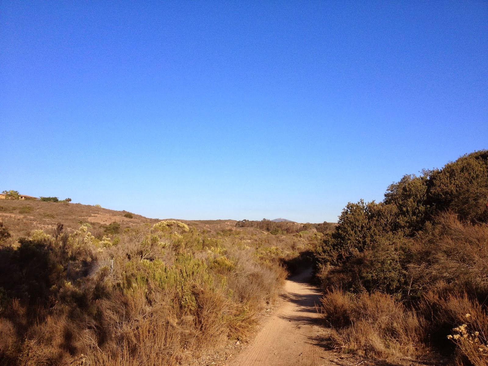 Caleb's Geography Blog Gonzales Canyon Open Space San Diego, California